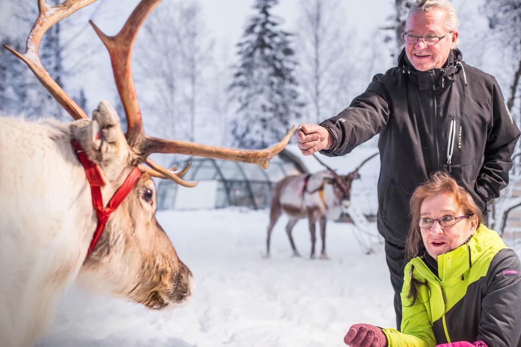 Lapland Igloo Hotel Рануа Екстериор снимка