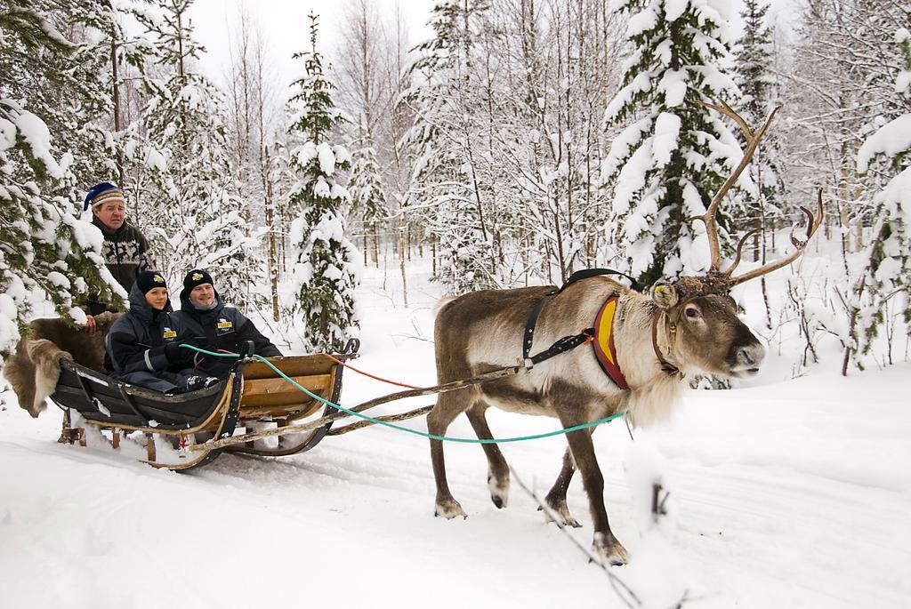 Lapland Igloo Hotel Рануа Екстериор снимка